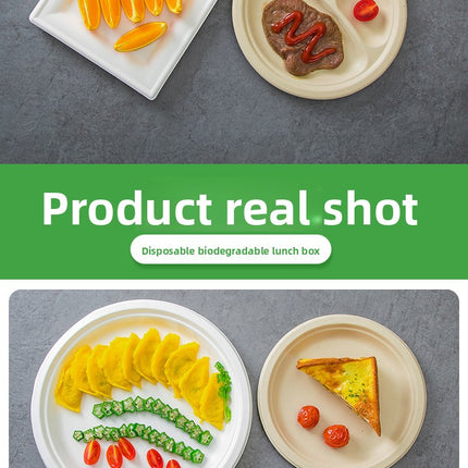 Disposable Plates Paper Plates Catering Food Grade Kindergarten Painting Dish Plates Biodegradable Household Barbecue Tableware Dinner Plates