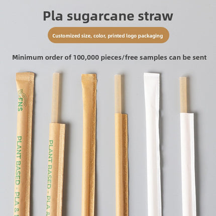 Wholesale Bamboo Powder Fully Biodegradable Straws 6*230 Individually Packaged Disposable Eco-friendly Juice Beverage Straws